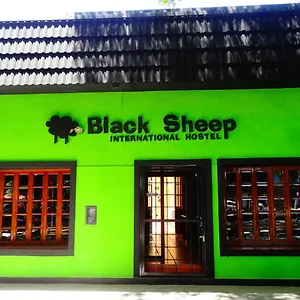 Black Sheep International Mendoza